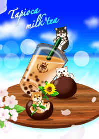 Tapioca milk tea with Shiba dogs (sea)