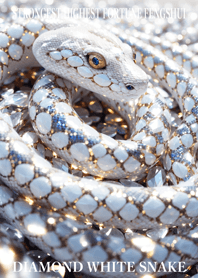 Diamond and white snake 29