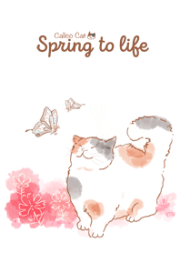 Calico Cat-Spring to life