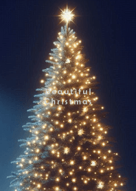 Beautiful Christmas-NAVY ORANGE- 2