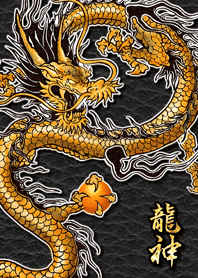 “增加你的财运” 金神龙 12