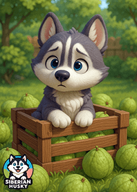 Siberian Husky : Hello, Wednesday.