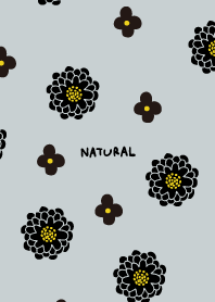 2 types of flowers black3 from Japan