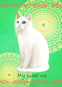 My sweet cat 5
