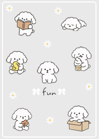 The Fun Daily Life of a Toy Poodle 01_2