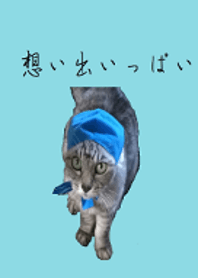 想い出いっぱい