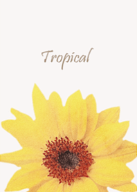 ひまわりが運んでくる大きな幸せ♪1