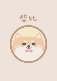 I'm Shiba ChaiB