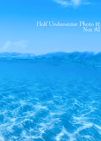 Half Underwater Photo12 Not AI