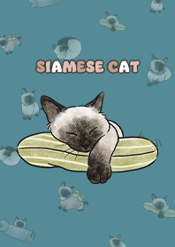 siamesecats4 - neil blue