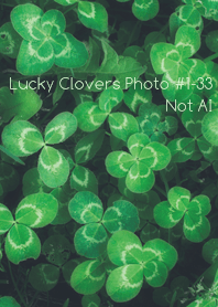 Lucky Clovers Photo#1-33Not AI