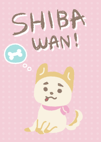 SHIBAWAN!
