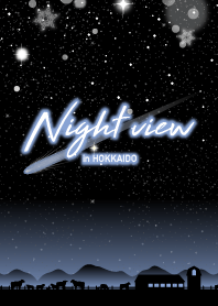 Night view in HOKKAIDO