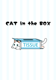 CAT in the BOX[White Cat]