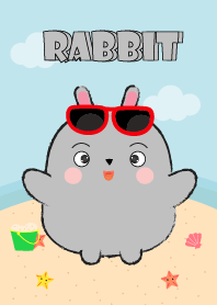 Summer Fat Gray Rabbit theme