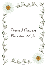 White : Feminine pressed flowers