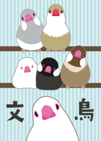 文鳥パラダイス