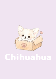 Sketch Chihuahua Purple 03