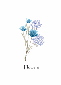 Natural Botanical One Point2