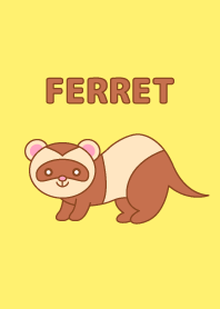 かわいいフェレット