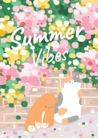 Summer Vibess