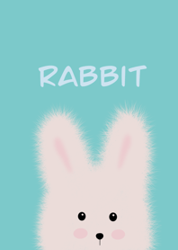 rabbit cute.