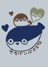 sacabambaspis heart smart