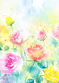 Beautiful rose flower(R1137)