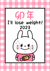 -2023 Happy new year. Rabbit. No,132-