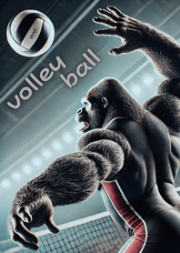 Gorilla x Volleyball! 3D Real