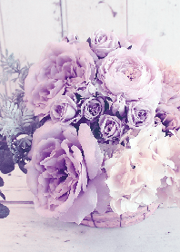 theme【flower】33