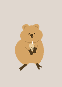 Lovely quokka loves Taiwanese food