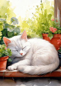A white cat sleeping by the window.