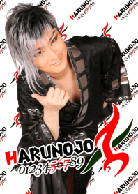 劇団花吹雪★桜春之丞 567撃退