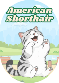 Lively American Shorthair (Pink 04)