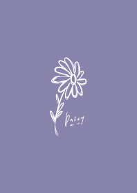 雛菊_藍紫色