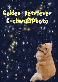 Golden Retriever K.Photo.Starry sky.
