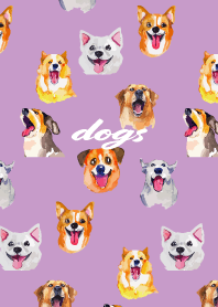 The cheerful dogs on light purple