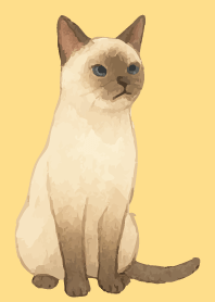 Siamese cat holiday03 brown&yellow