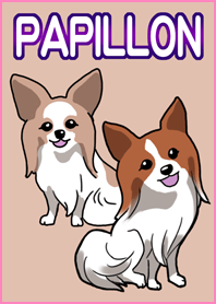 かわいい犬(パピヨン)