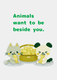 Animals want to be beside you.049-2Green