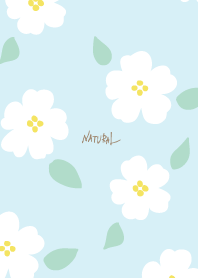 Simple flower adult25 from Japan