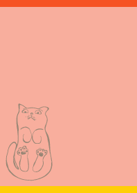 Cat seen from below01 on R&Y