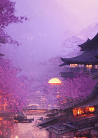 日本夜樱花＃DR14。