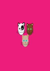 Cute cat emotion