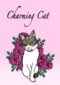 Charming cat CHARMIE