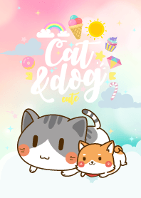 ทาสหมาแมว น่ารักงุ้งงิ้ง เลิฟลี่