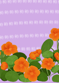 NASTURTIUM Cute Flower Simple