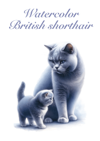 水彩畫英國短毛貓