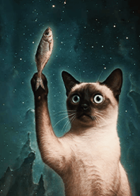 Starry Sky Mystery-Cat 1H